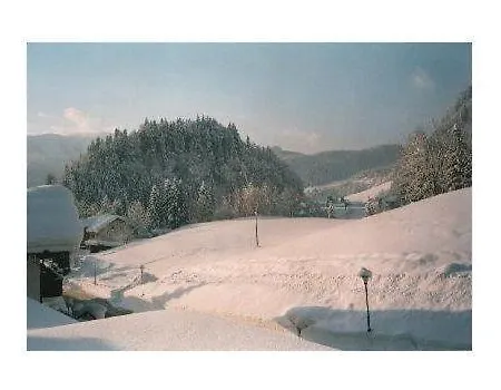 Sport-alpin-wohnung-1 Oberstdorf